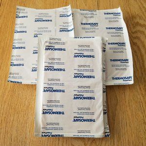 ThermoSafe Polar Pack Foam Brick Freezer Cold Ice Packs (9x6x1) Lot of 3